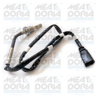 Sensor, exhaust gas temperature